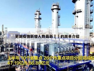 芜湖疫情新增人数最新㊙️的简单介绍