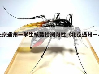 北京通州一学生核酸检测阳性（北京通州一小）