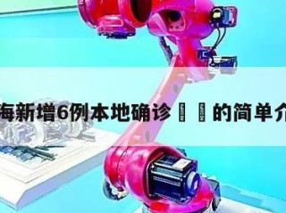 上海新增6例本地确诊㊙️的简单介绍