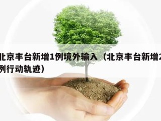 北京丰台新增1例境外输入（北京丰台新增2例行动轨迹）